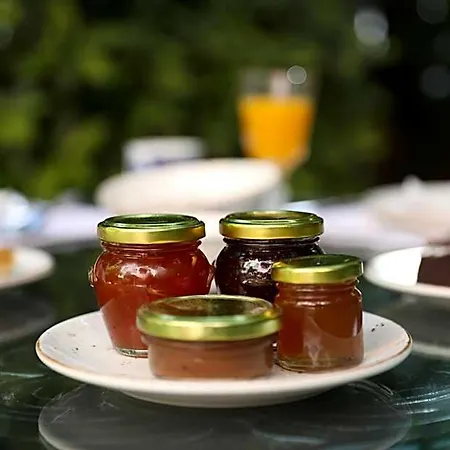 Boutique Palea Poli Otel *
